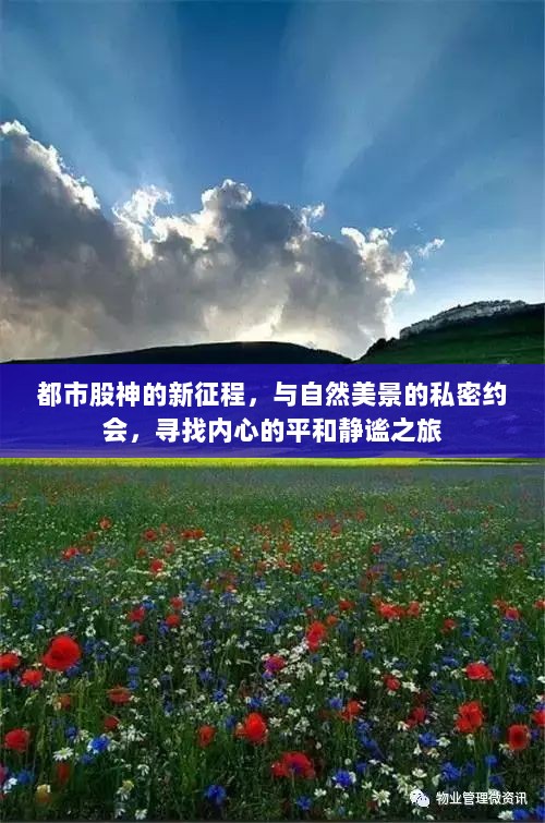 都市股神的新征程，与自然美景的私密约会，寻找内心的平和静谧之旅