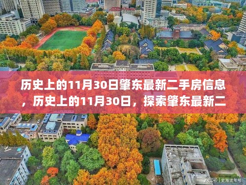 历史上的11月30日，肇东最新二手房信息深度探索与背后的故事揭秘