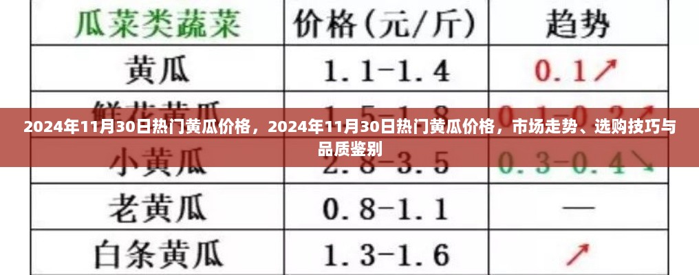 2024年11月30日黄瓜价格走势及选购指南，市场趋势、选购技巧与品质鉴别