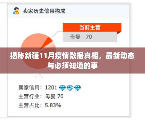 揭秘新疆11月疫情数据真相，最新动态与必须知道的事