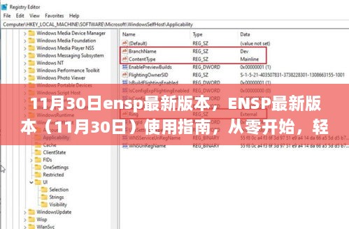 ENSP最新版本（11月30日）使用指南，零基础轻松上手教程