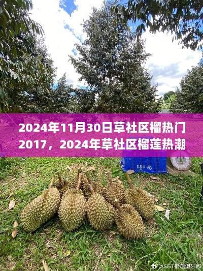 草社区榴莲热潮回顾，从2017到2024的榴莲情缘