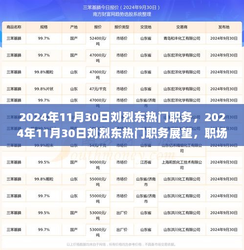 2024年11月30日刘烈东热门职务，2024年11月30日刘烈东热门职务展望，职场巅峰的挑战与机遇