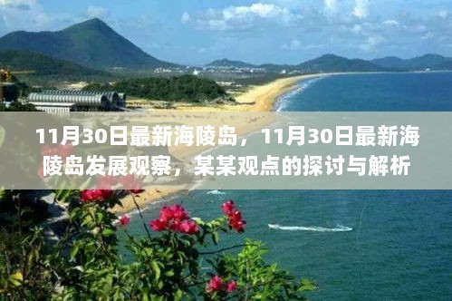 最新海陵岛发展观察，某某观点的探讨与解析（11月30日）