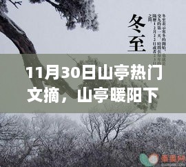 11月30日山亭暖阳下的温馨日常，热门文摘精选