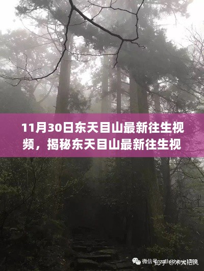 11月30日东天目山最新往生视频，揭秘东天目山最新往生视频——探寻自然奥秘之旅（11月30日版）