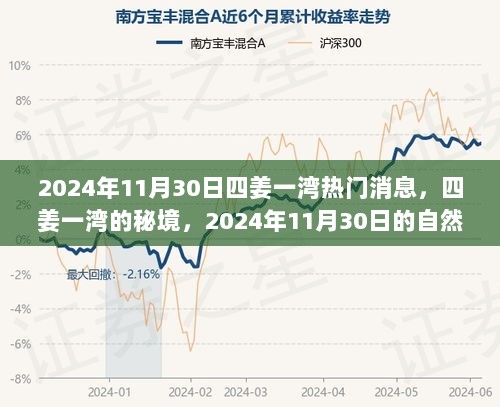 四姜一湾秘境揭秘，探寻桃花源的自然之旅，热门消息一网打尽（2024年11月30日）