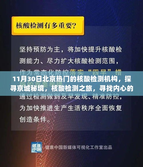 北京热门核酸检测机构探寻，寻找内心的宁静绿洲之旅