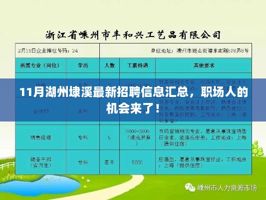 11月湖州埭溪最新招聘信息汇总，职场人的机会来了！