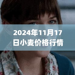 2024年11月17日小麦价格行情解析与走势预测