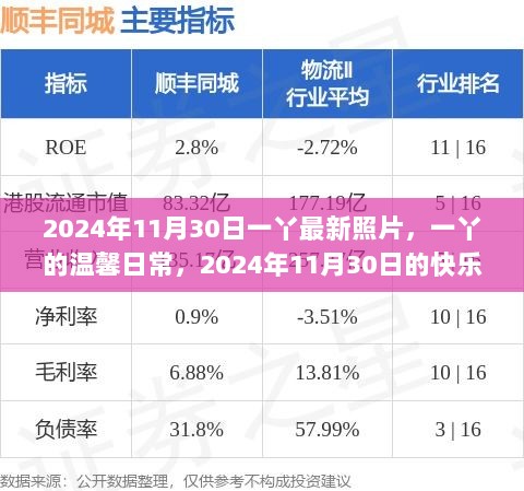 一丫温馨日常，最新照片记录快乐时光（2024年11月30日）