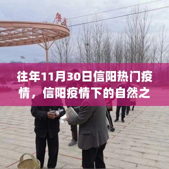 信阳疫情下的自然之旅，寻找内心的宁静与力量之旅