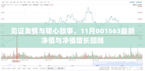 见证友情与暖心故事，11月001563最新净值与净值增长回顾