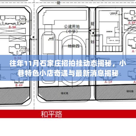 往年11月石家庄招拍挂动态揭秘，小巷特色小店奇遇与最新消息揭秘