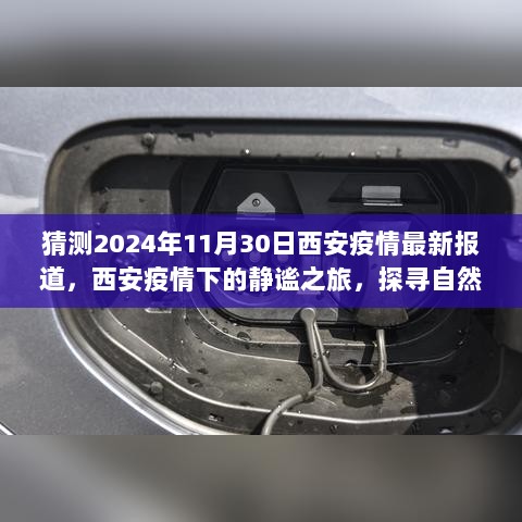 西安疫情下的静谧之旅，探寻自然美景与内心平静，最新疫情报道预测