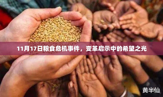 11月17日粮食危机事件，变革启示中的希望之光