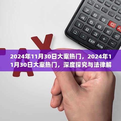 揭秘法律内幕，深度解读2024年11月30日大案热门事件