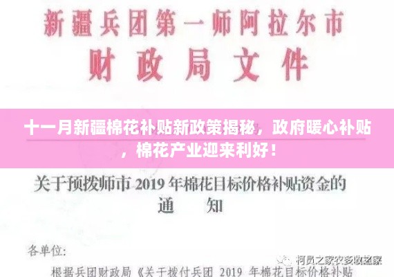 十一月新疆棉花补贴新政策揭秘，政府暖心补贴，棉花产业迎来利好！