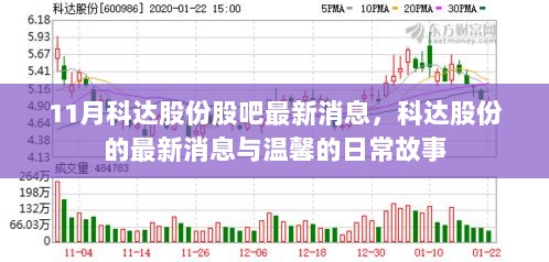 科达股份最新动态，十一月消息更新与日常故事回顾