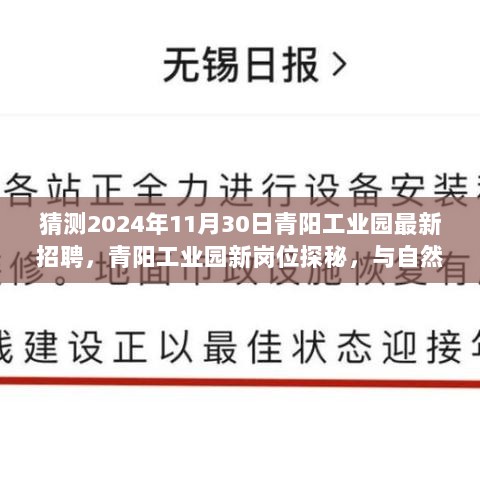 青阳工业园新岗位探秘，与自然美景相遇，寻找内心的宁静之旅（最新招聘预告）