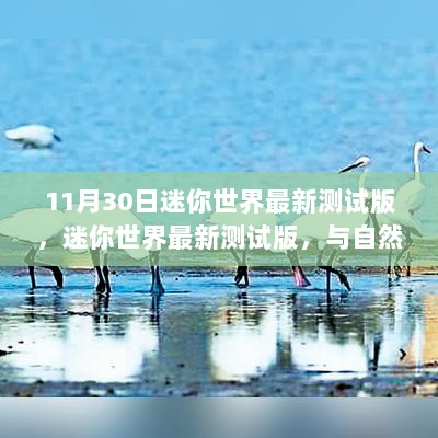 迷你世界最新测试版，与自然共舞奇妙探险之旅启程