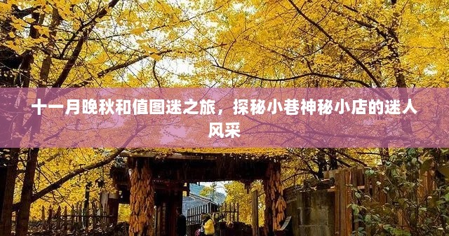 十一月晚秋和值图迷之旅，探秘小巷神秘小店的迷人风采