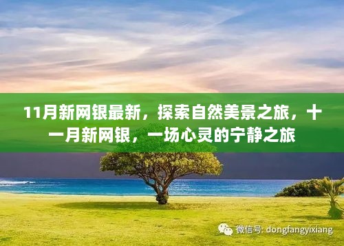 十一月新网银引领自然美景探索之旅，心灵宁静的启程