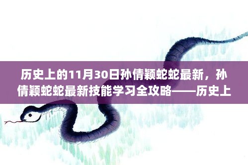 孙倩颖蛇蛇最新技能学习全攻略，历史上的11月30日特别教学日回顾与前瞻