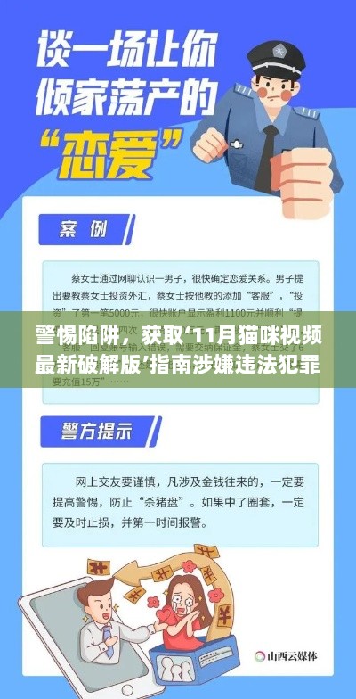 警惕陷阱，获取‘11月猫咪视频最新破解版’指南涉嫌违法犯罪