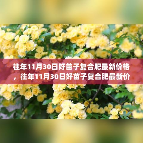 往年11月30日好苗子复合肥最新价格分析与市场走势探讨，个人观点深度解析