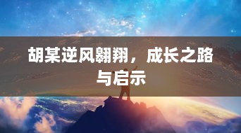 胡某逆风翱翔，成长之路与启示