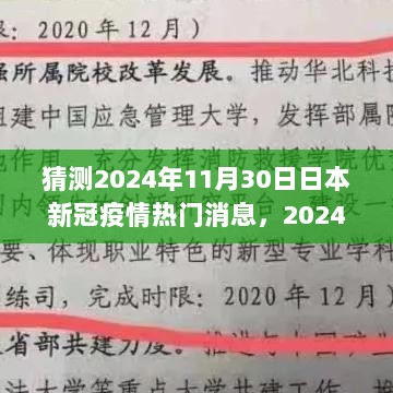 2024年11月30日日本疫情下的自然之旅，寻找内心宁静与微笑的力量