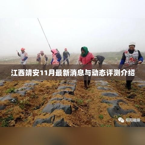 江西靖安11月最新消息与动态评测介绍