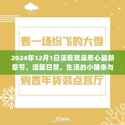 温馨日常与爱的纽带，生活的小确幸在2024年继续闪耀