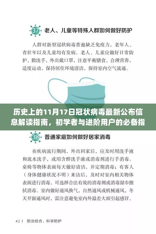 历史上的11月17日冠状病毒最新公布信息解读指南，初学者与进阶用户的必备指南