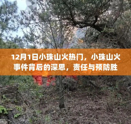 12月1日小珠山火热门，小珠山火事件背后的深思，责任与预防胜于事后热议