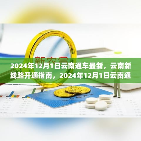 云南新线路开通指南，2024年12月1日通车全步骤详解与最新指南