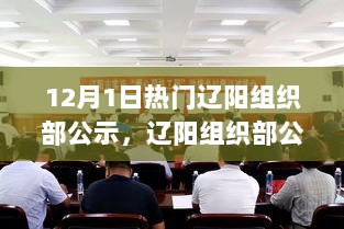 辽阳组织部公示日，友情、家庭与希望的交响乐章