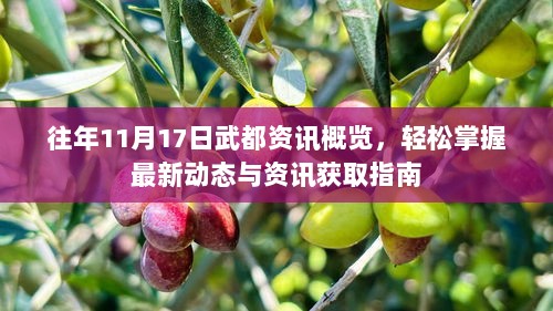 往年11月17日武都资讯概览，轻松掌握最新动态与资讯获取指南