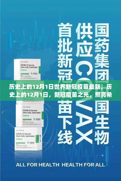 历史上的12月1日世界新冠疫苗最新，历史上的12月1日，新冠疫苗之光，照亮希望与未来的旅程