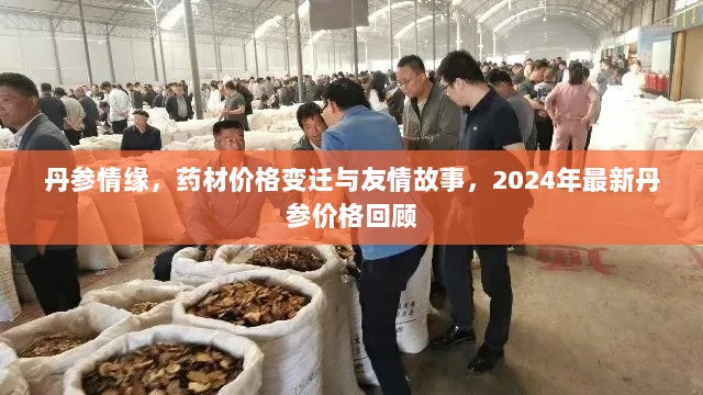 丹参情缘，药材价格变迁与友情故事，2024年最新丹参价格回顾