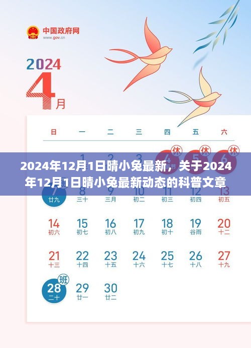 2024年12月1日晴小兔最新，关于2024年12月1日晴小兔最新动态的科普文章