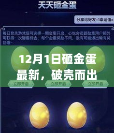 破壳而出，12月1日砸金蛋背后的励志故事与自信之光