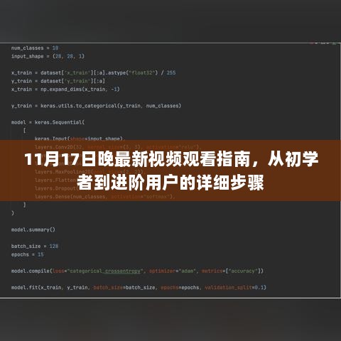 11月17日晚最新视频观看指南，从初学者到进阶用户的详细步骤