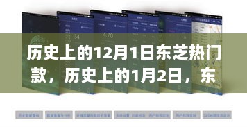 东芝经典产品闪耀登场，历史热门款回顾之十二月一日与一月二日