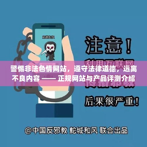 警惕非法色情网站，遵守法律道德，远离不良内容 —— 正规网站与产品评测介绍