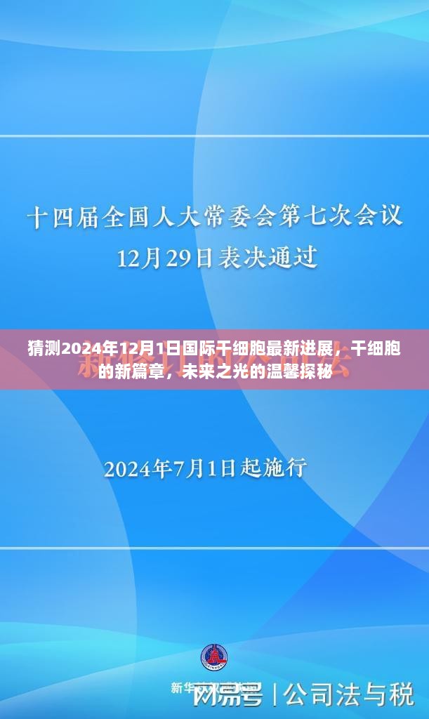 干细胞新篇章探秘，预测2024年国际干细胞最新进展，未来之光照亮温馨未来