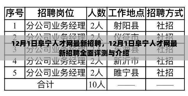 12月1日阜宁人才网最新招聘全面评测与介绍