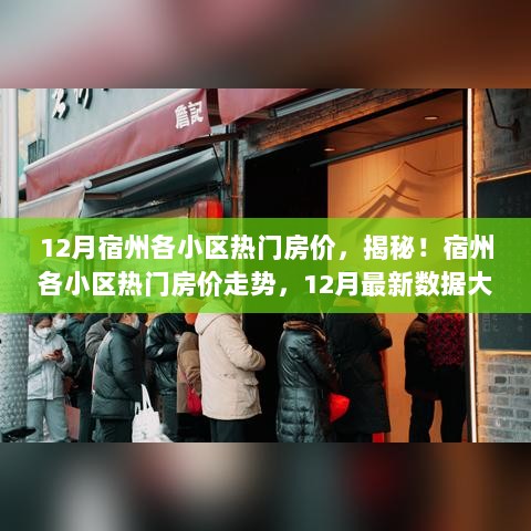 揭秘宿州各小区热门房价走势，最新数据解析与小红书热议话题汇总（附最新房价）