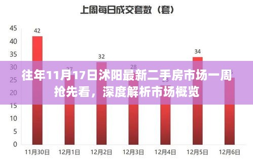 2024年12月1日 第11页